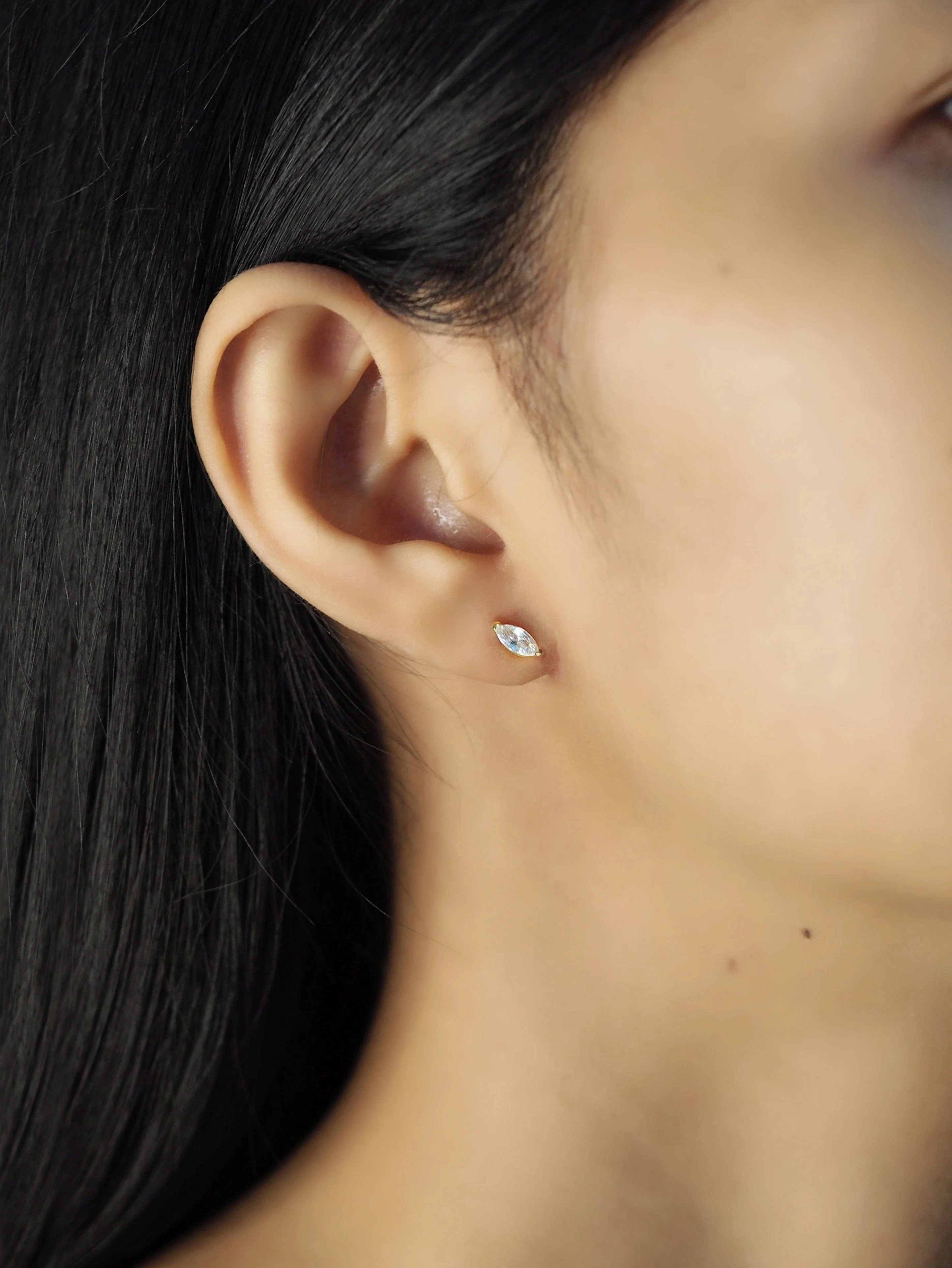 Marquis Stud - Image 3