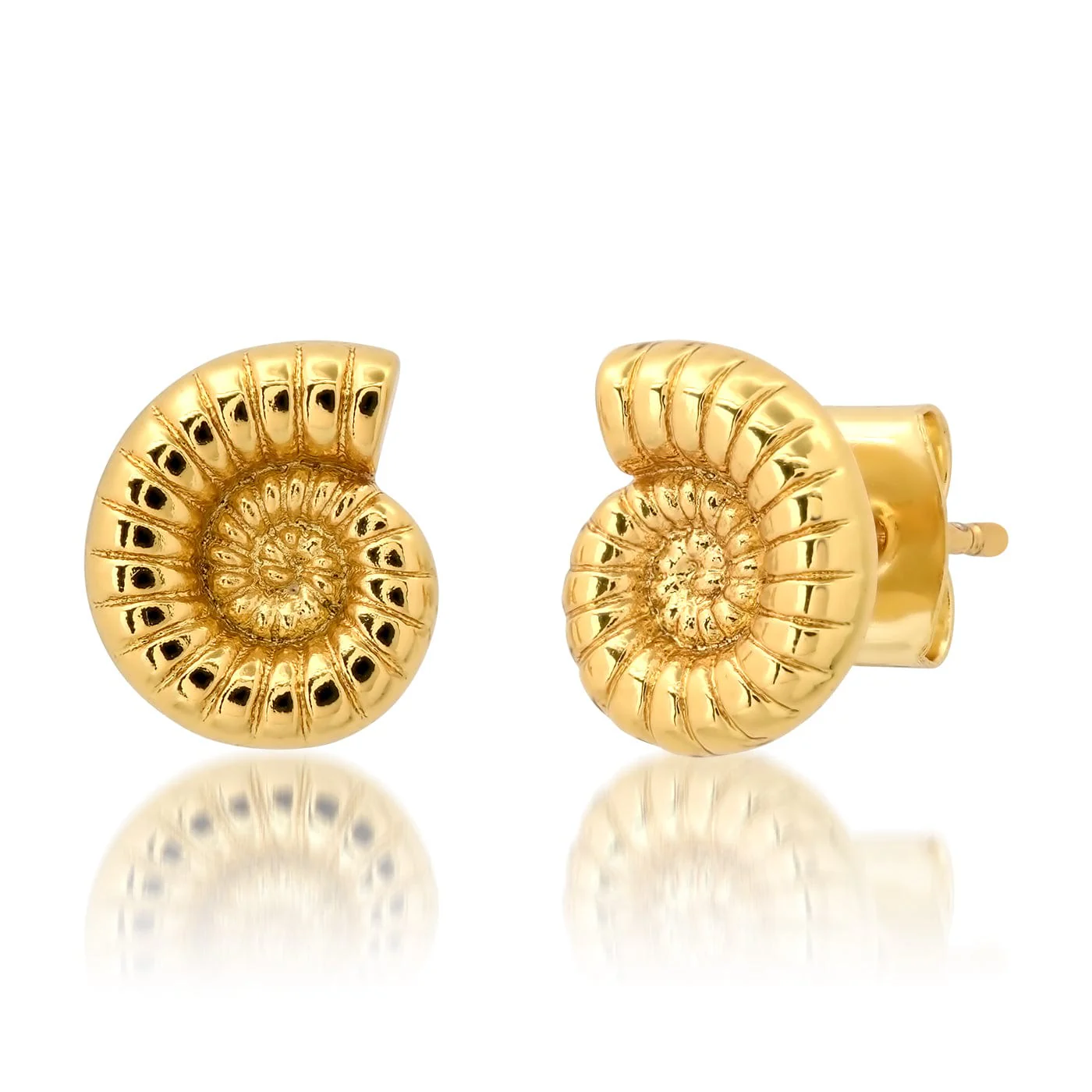 Shell Stud Earrings